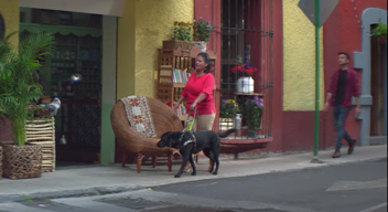 Señora caminando con su perro guía