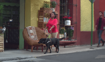 Art. 9 Derecho a la accesibilidad