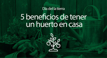 Imagen con foto de una persona en un jardín cortando unas plantas y encima el texto 5 beneficios de tener un huerto en casa