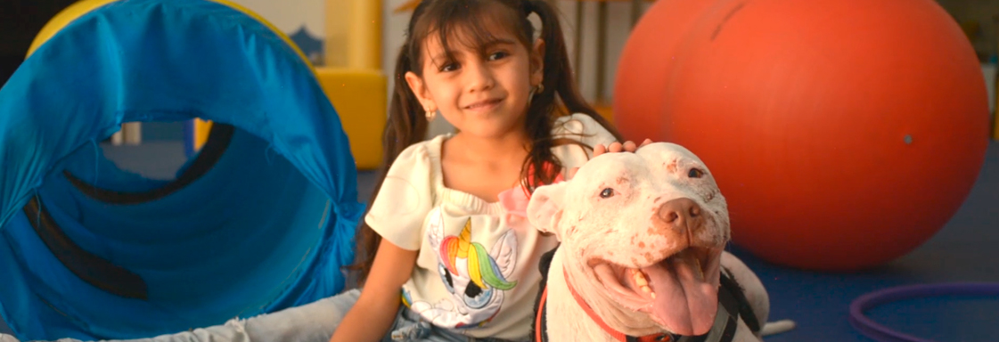 Los perritos de servicio