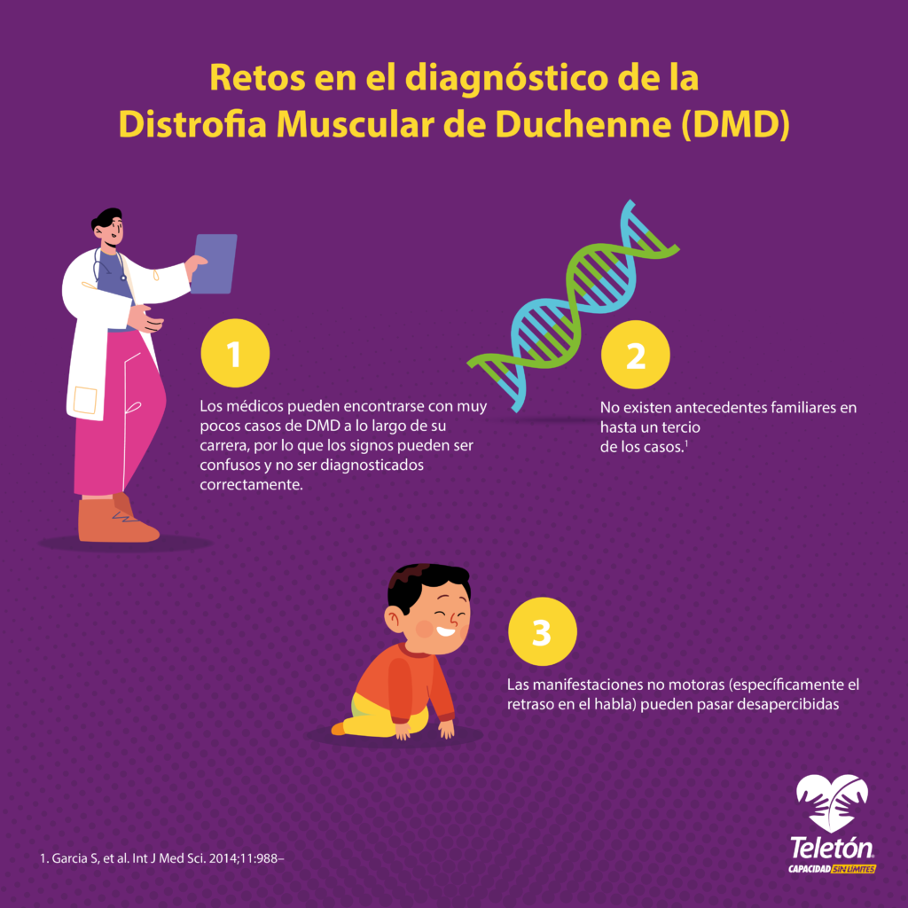 Infografía con el título “Retos en el diagnóstico de la Distrofia Muscular de Duchenne (DMD)” y tres ilustraciones. La primera ilustración es de un médico, acompañada del texto: “Los médicos pueden encontrarse con muy pocos casos de DDM a lo largo de su carrera, por lo que los signos pueden ser confusos y no ser diagnosticados correctamente”.La segunda ilustración es de una cadena de ADN, acompañada del texto: “No existen antecedentes familiares en hasta un tercio de los casos”. La tercera ilustración es de un niño gateando acompañada del texto: “Las manifestaciones no motoras (específicamente el retraso en el habla) pueden pasar desapercibidas”. En la parte inferior derecha se muestra el logo de Teletón.